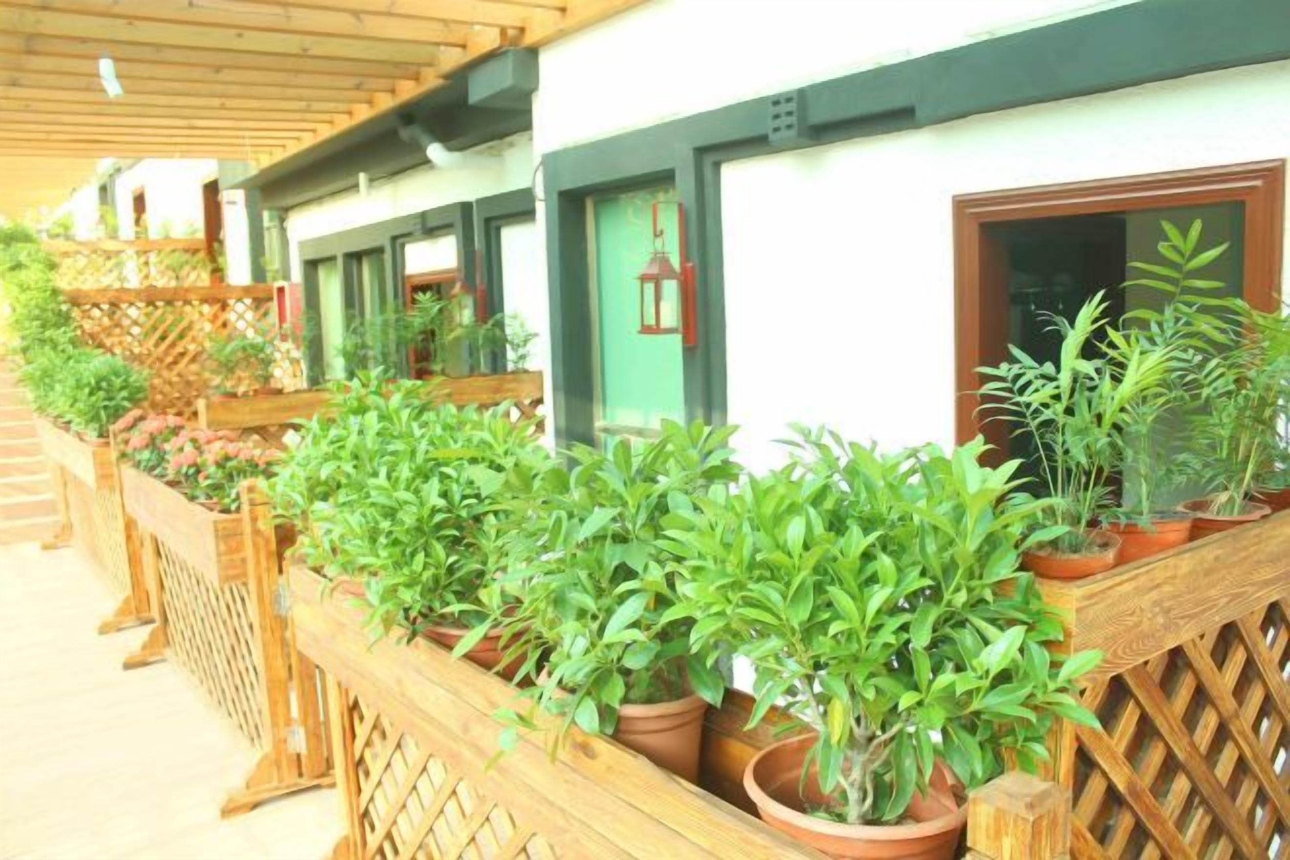 A row of potted plants on a wooden balcony.