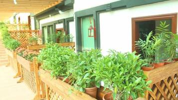 A row of potted plants on a wooden balcony.