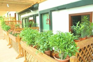Una fila de macetas con plantas en un balcón de madera.