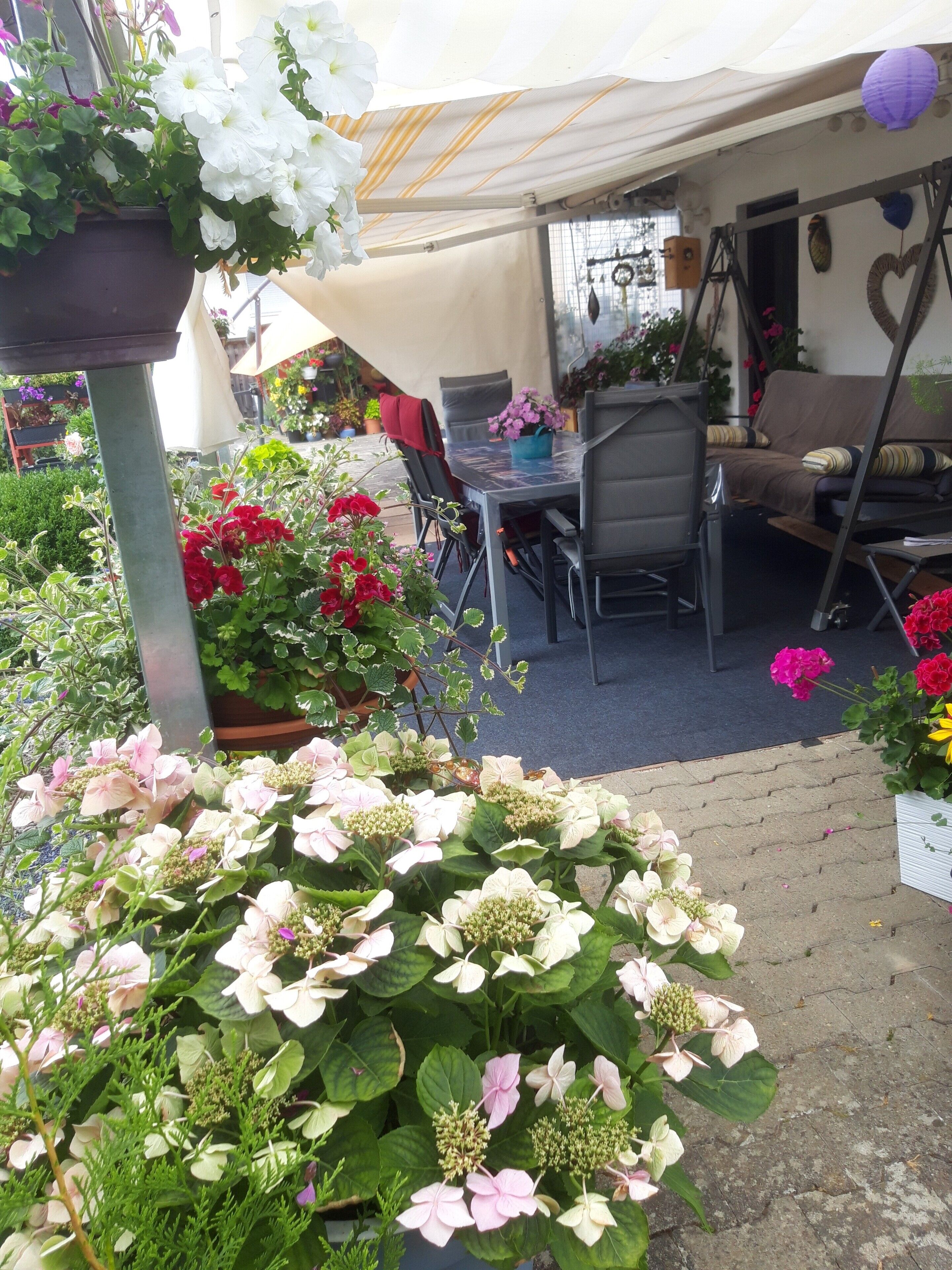 A patio area with a table and chairs, surrounded by potted plants and flowers.