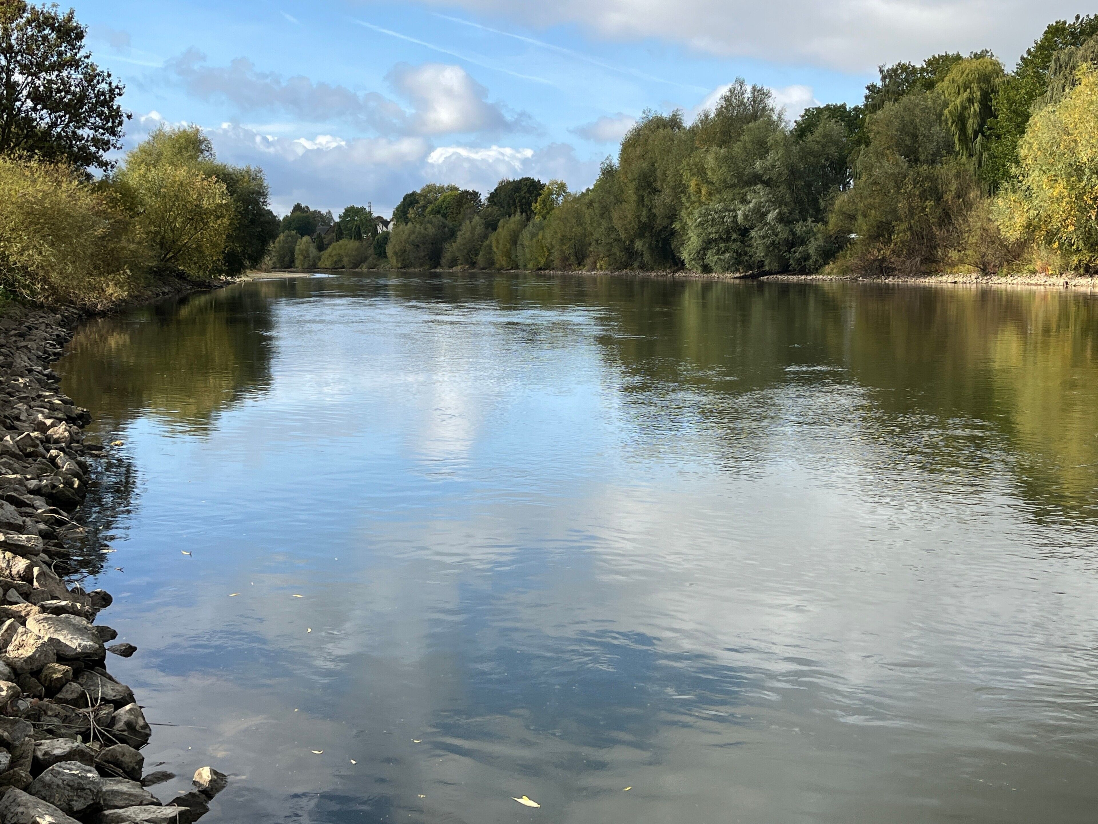 Een rustige rivier met een rotsachtige oever en dichte bomen op de achtergrond.
