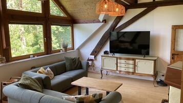 Fernseher, Kamin