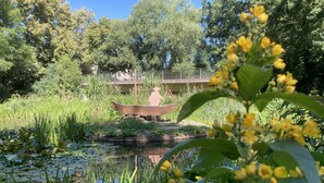 Ein Teich mit einem hölzernen Boot, umgeben von üppiger Vegetation und Bäumen.