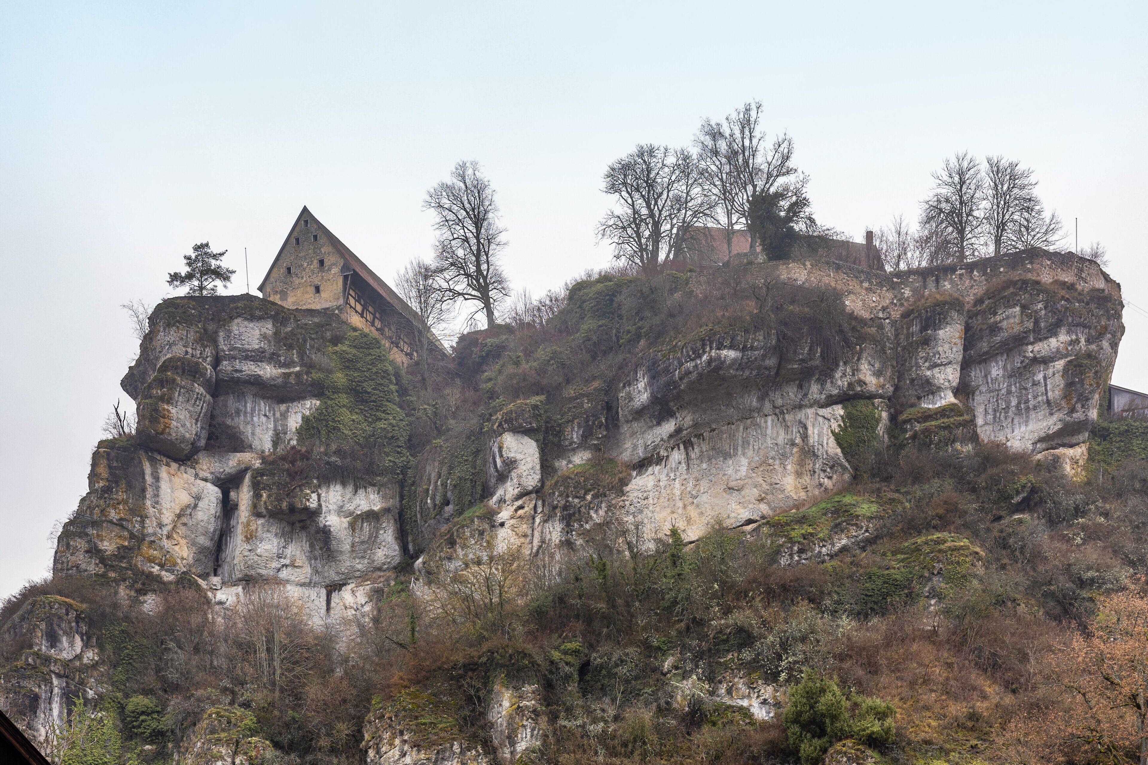 A castle on a rocky cliff with a triangular tower, surrounded by trees and vegetation.