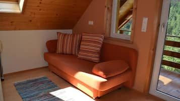 TV, fireplace, DVD player, ping pong