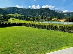 Property grounds - Chalet 'Almblick Mit Sauna' with Mountain View, Shared Pool and Wi-Fi (Tauplitz)