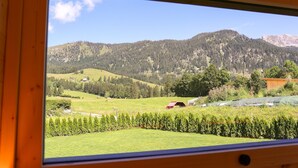En utsikt från ett fönster över ett grönt landskap med ett berg, en röd ladugård och en klar himmel.