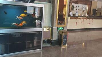 ردهة الانتظار