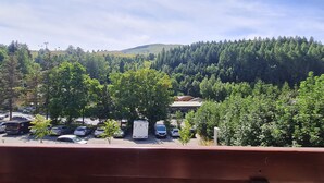 Ein Parkplatz mit mehreren Autos und einem weißen Wohnmobil. Bäume und ein Hügel mit dichtem Wald sind im Hintergrund zu sehen.