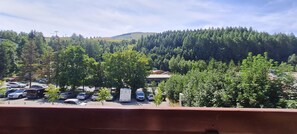 A parking lot with several cars and a white RV. There are trees and a hill with dense forest in the background.