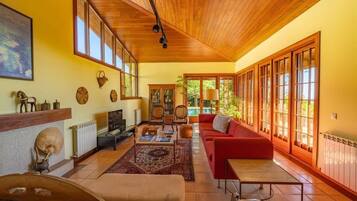 Televisión, chimenea y libros