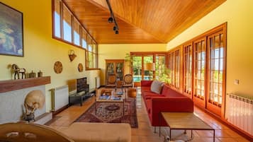 TV, fireplace, books