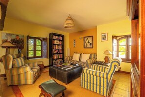 TV, fireplace, books