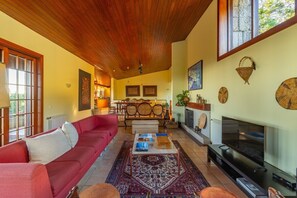 TV, fireplace, books