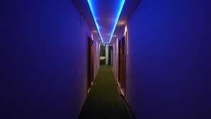 Un pasillo estrecho con paredes moradas y una alfombra verde, que lleva a una habitación con cama y escritorio.
