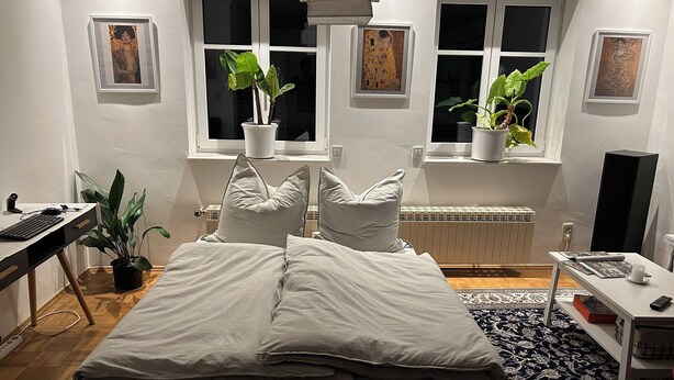 Une chambre à coucher avec un lit, deux plantes en pot, un bureau avec un ordinateur et un radiateur.