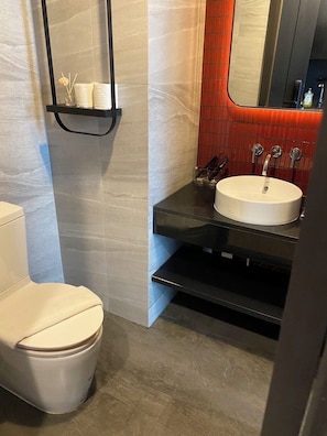 Hair dryer, towels, soap, toilet paper