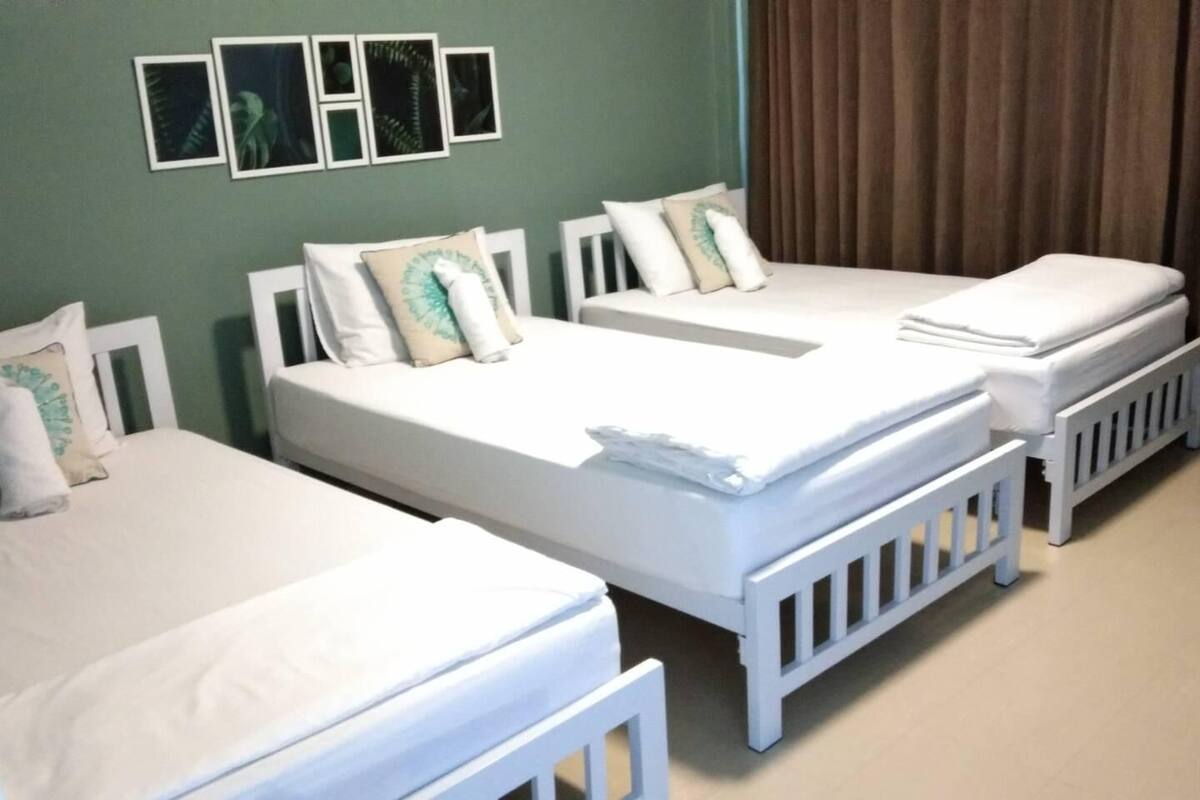 A hotel room with two single beds, white bedding, and a green wall with framed pictures.