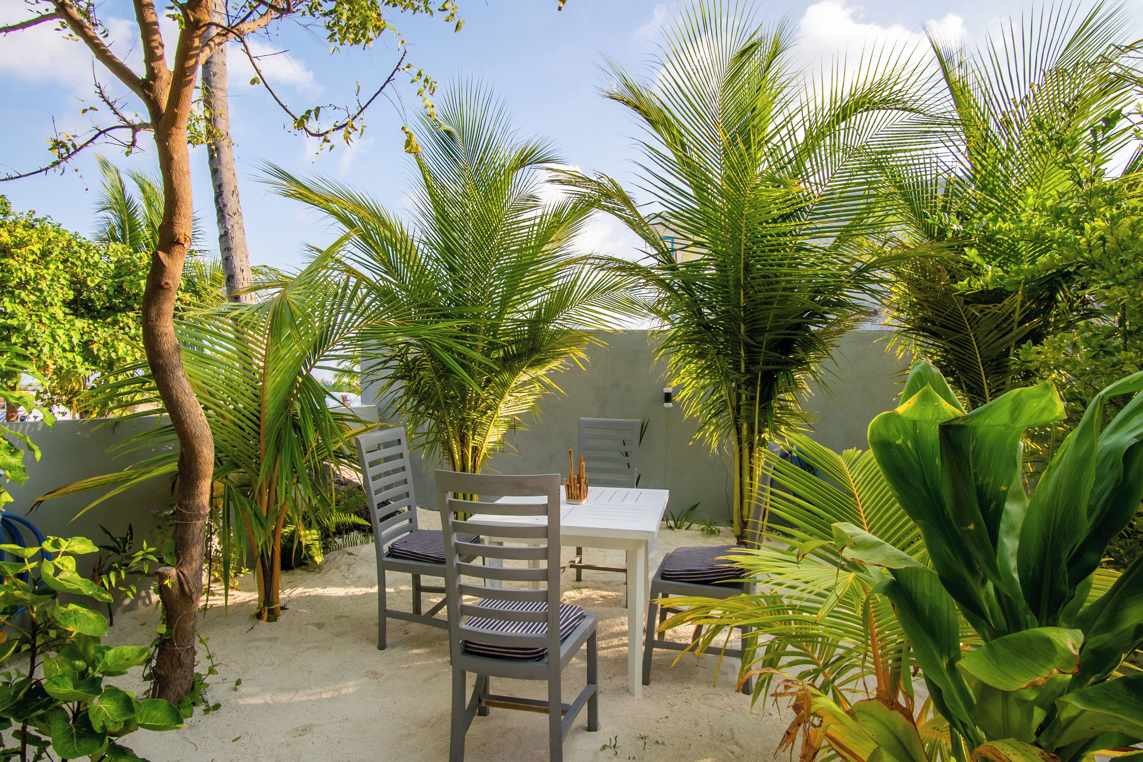 Un espace patio aménagé avec une table et des chaises, entouré de palmiers et de plantes.