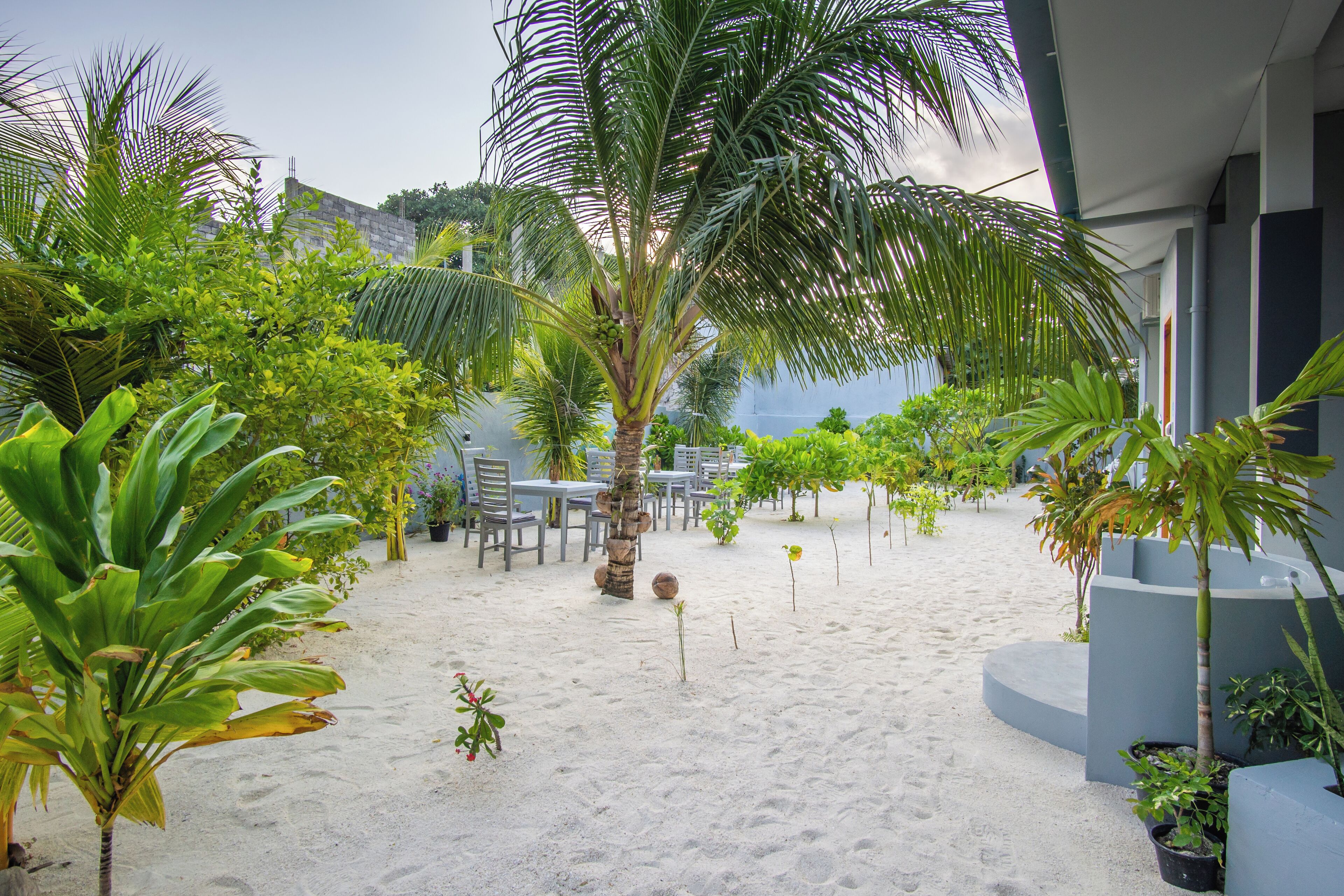 A sandy outdoor area with palm trees, a seating area with tables and chairs, and a building in the background.