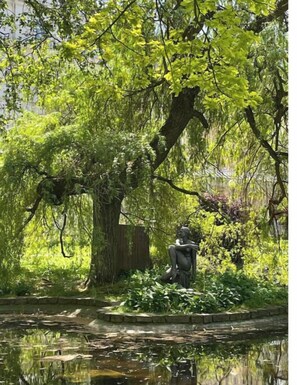 Stroll through a serene garden setting featuring a weeping willow tree, a tranquil pond, and a contemplative statue.