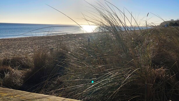 Ein Strand mit hohem Gras im Vordergrund und der Sonne, die über dem Ozean untergeht.