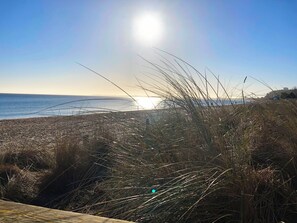A beach with tall grasses in the foreground and the sun setting over the ocean.