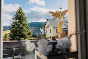 Interior - Fewos4season 6 (Oberwiesenthal)