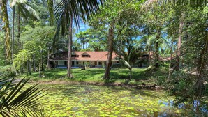 Uma casa rodeada por um jardim exuberante com um lago coberto de nenúfares.