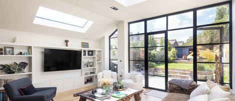 Televisión, chimenea