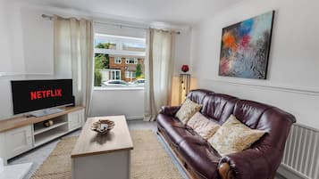 Smart TV, fireplace, books