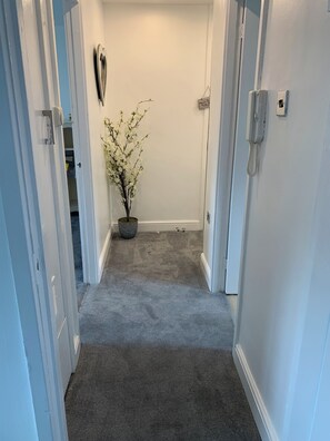 Stylish hallway with a potted plant and carpeted floor.