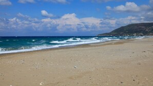 Une plage avec un rivage sablonneux et des vagues.