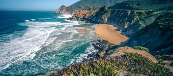 Miramar Oasis! Ocean View, Steps2Beach, Roof Deck, Fire Pit, Coastal Trail