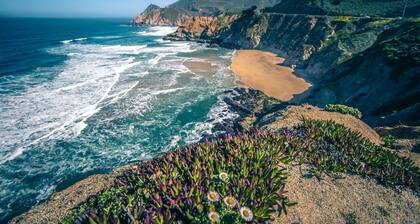 Miramar Oasis! Ocean View, Steps2Beach, Roof Deck, Fire Pit, Coastal Trail