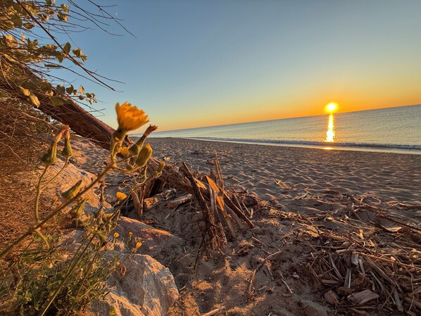 On the beach - Le Panorama Du Tropique Vue Mer Saint Cyprien / Argelès-sur-mer /Le Barcares (Saint-Cyprien)