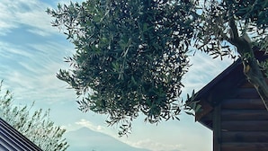 A wooden cabin with a garden path leading to a mountain view. - LUNA HOME CLUB (Samandagi)