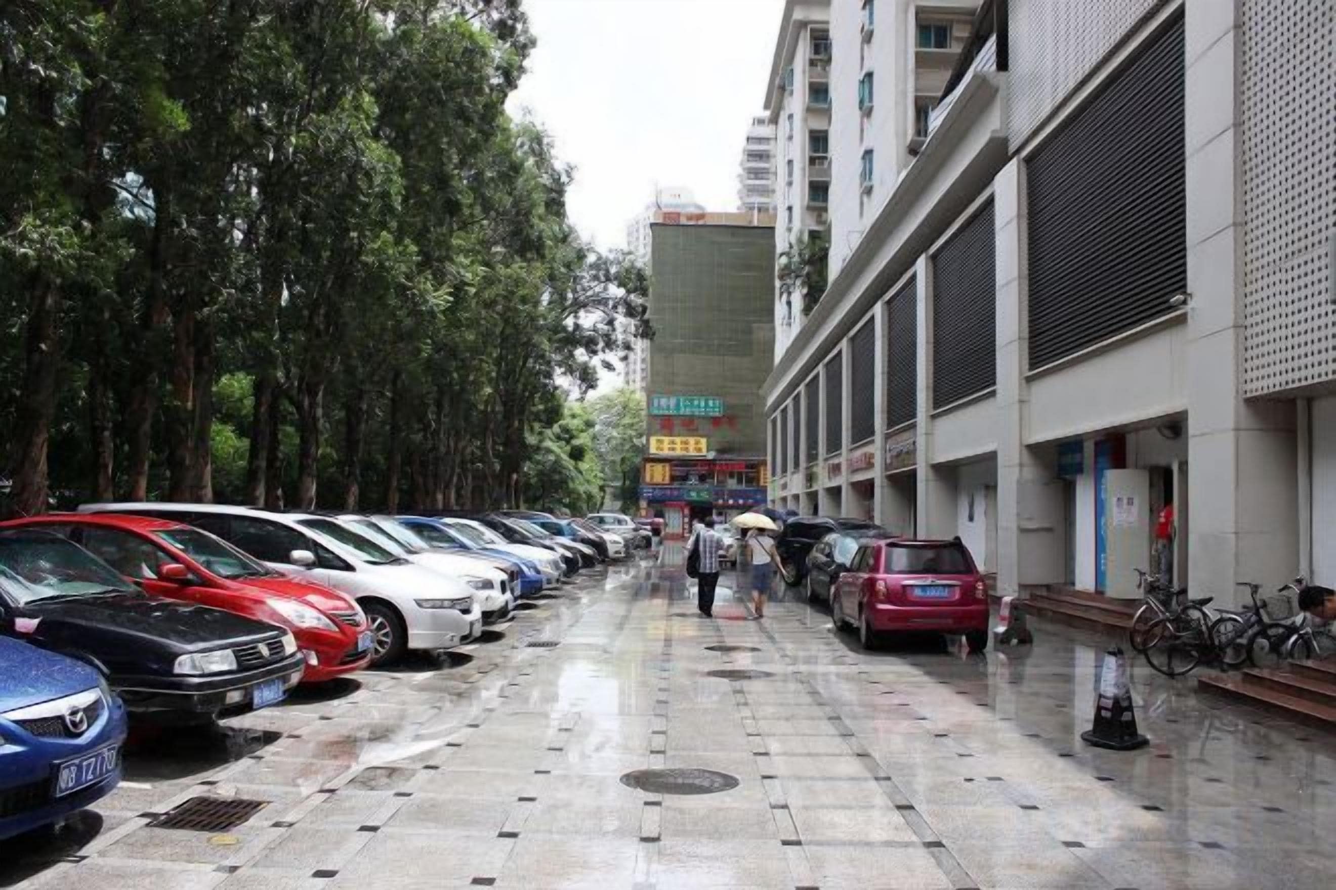 A row of parked cars along a sidewalk with trees on one side and a building with a sign on the other.