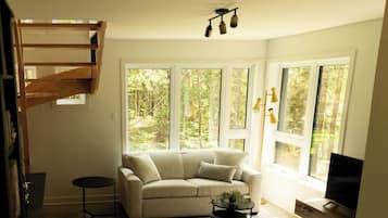 TV, fireplace, offices