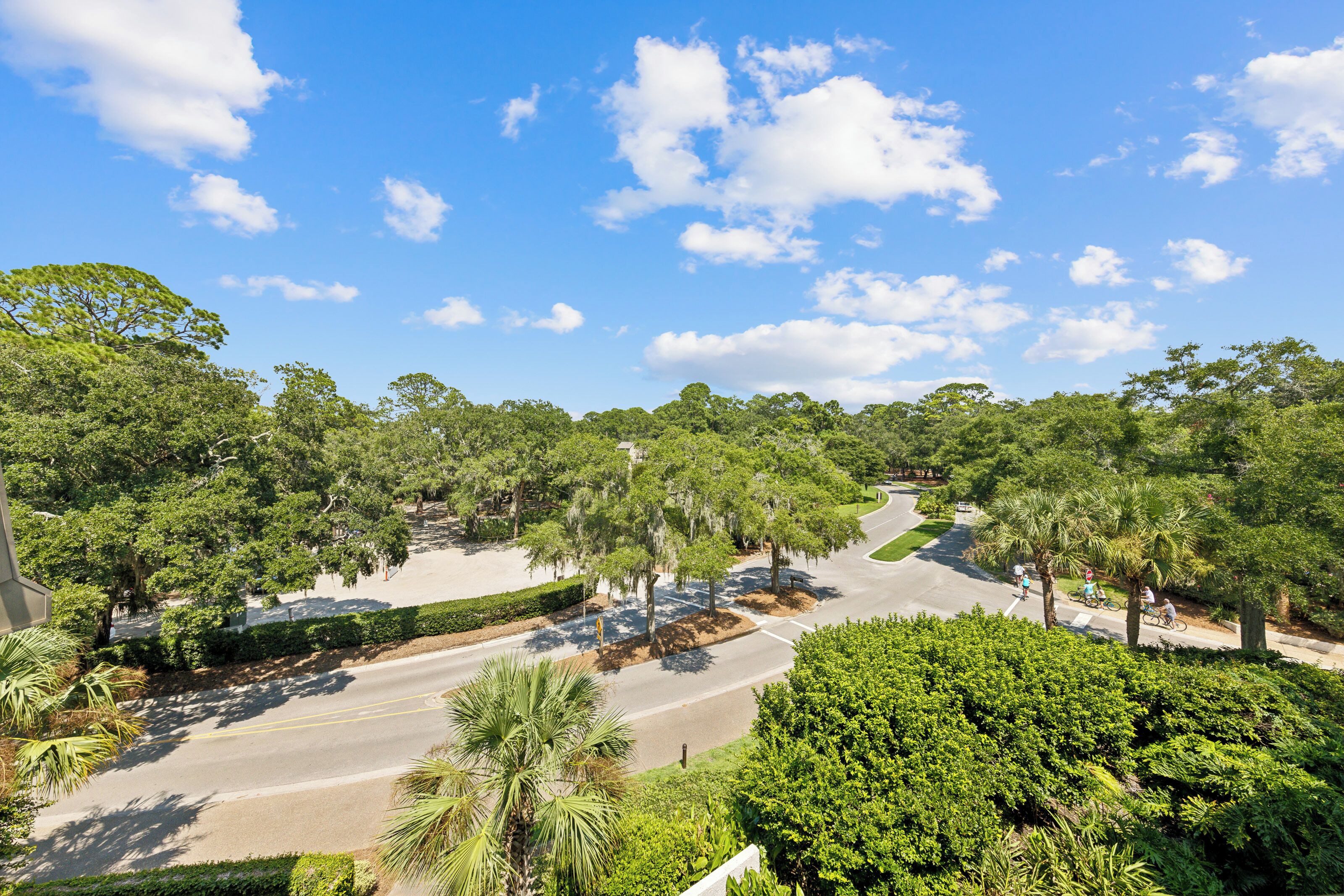A tree-lined street with a clear blue sky.