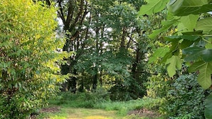 A grassy outdoor area with a bench and a white object on the ground. - PARISIAN FOREST  (Cesson)
