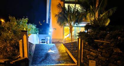Casa da Palmeira