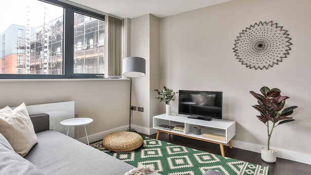 Un salon moderne avec un canapé, un téléviseur posé sur un meuble blanc, une plante en pot et un tapis à motifs.