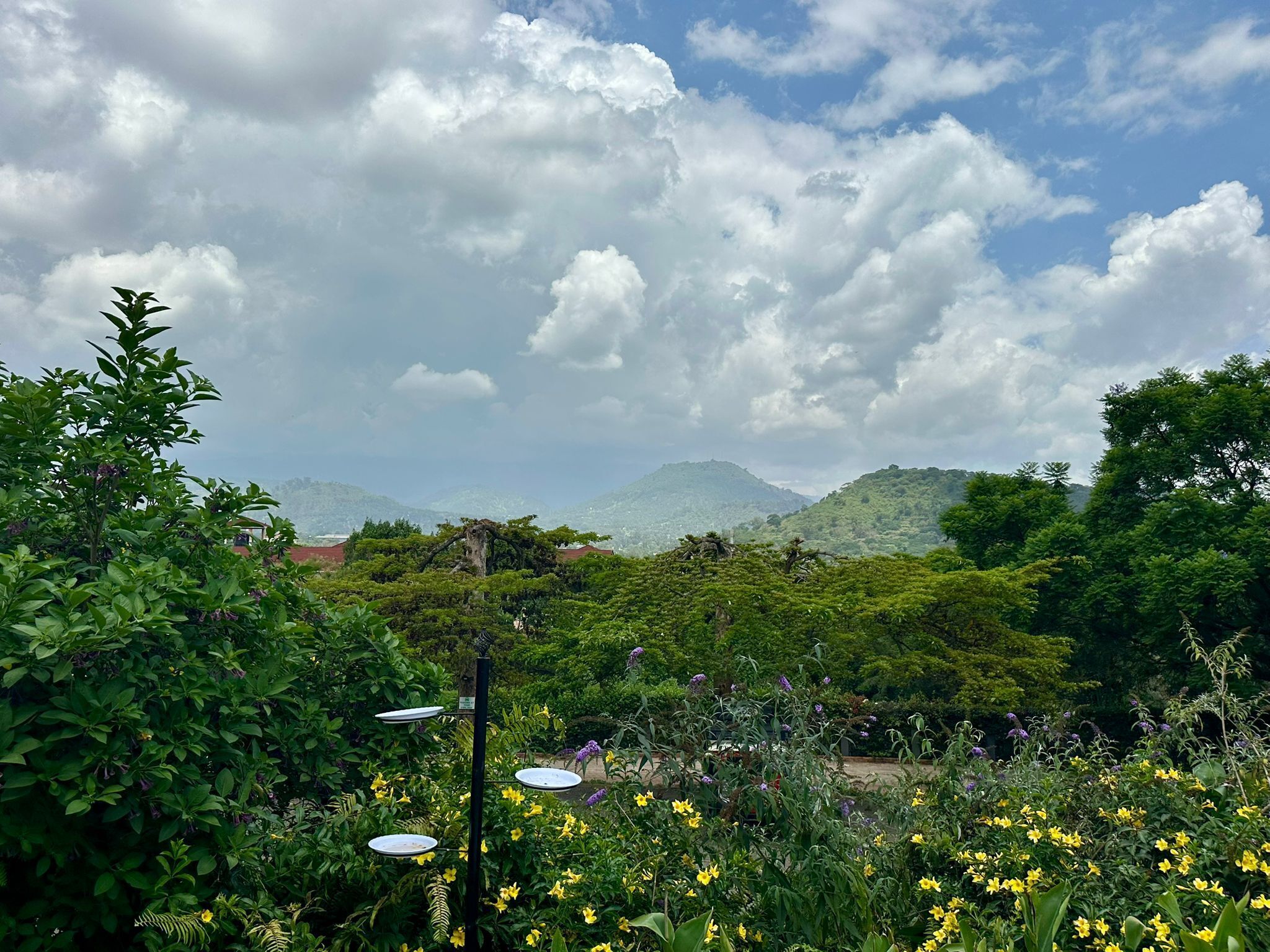 Un giardino con diverse piante e fiori, una struttura metallica con elementi circolari e un paesaggio montuoso sullo sfondo.
