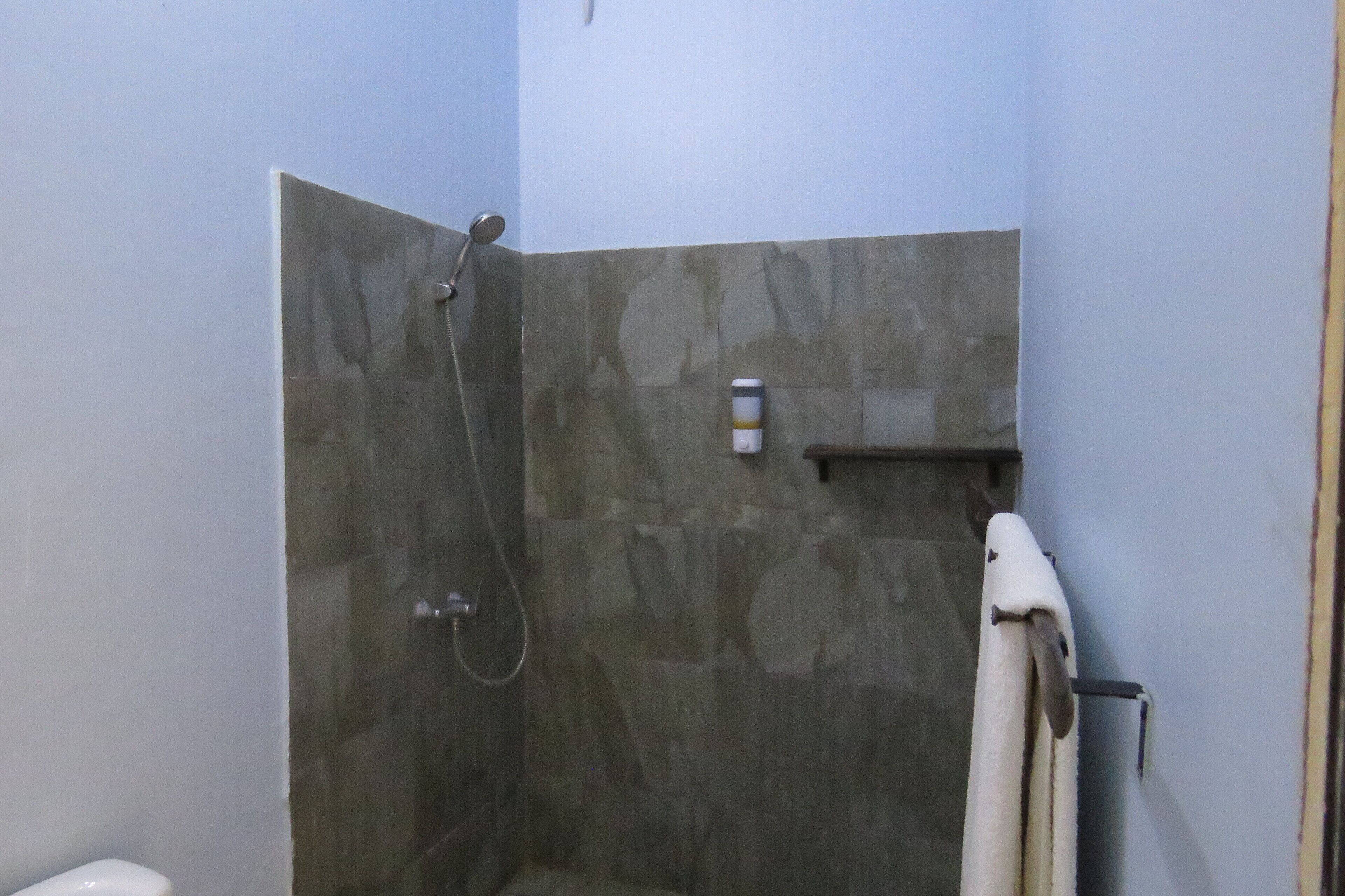 A shower with a handheld showerhead and a towel rack.