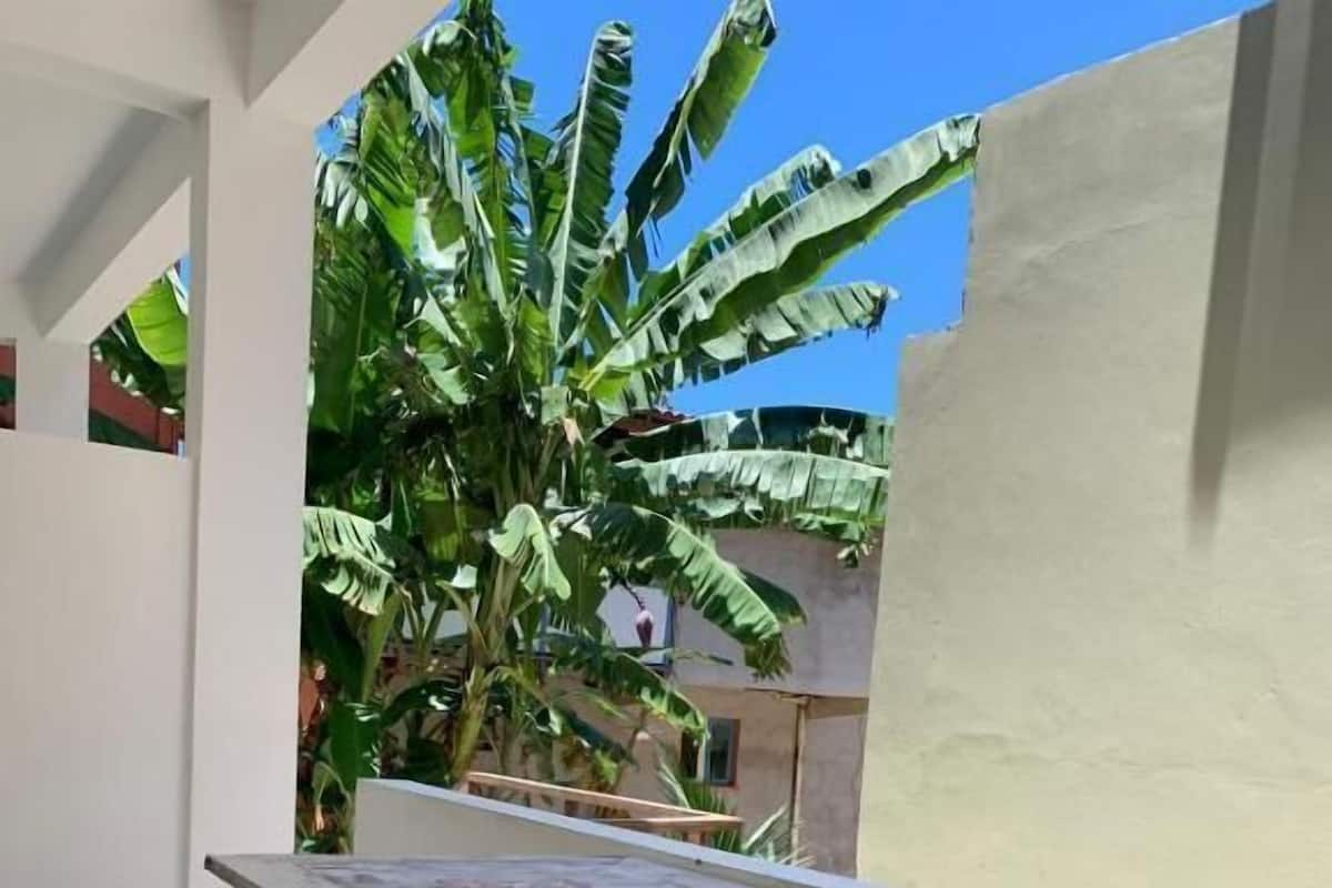 Ein Holztisch mit zwei passenden Hocker auf einem Balkon mit Blick auf eine Bananenpflanze und ein Gebäude im Hintergrund.