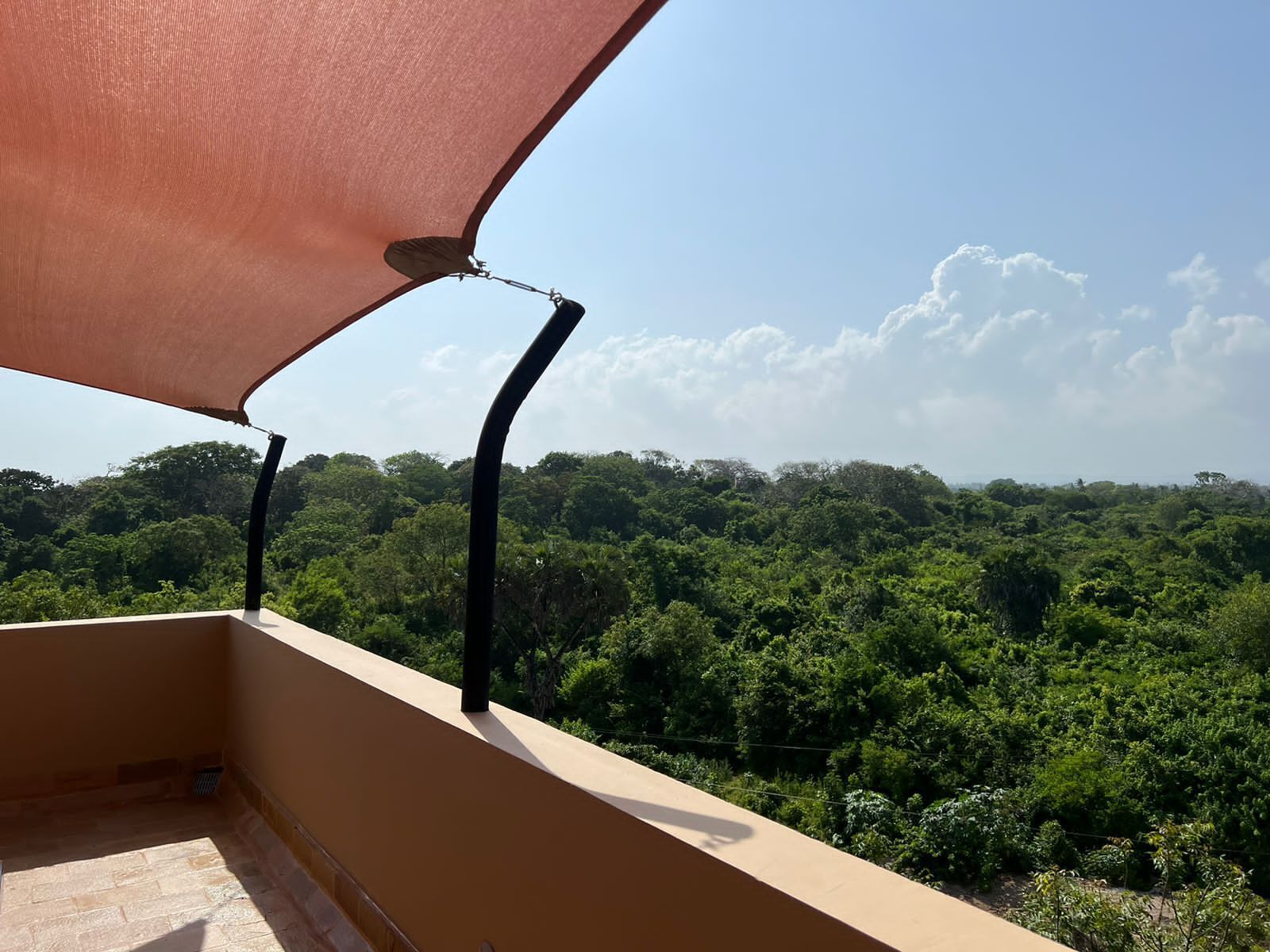 A balcony with a view of dense green forest under a clear sky.
