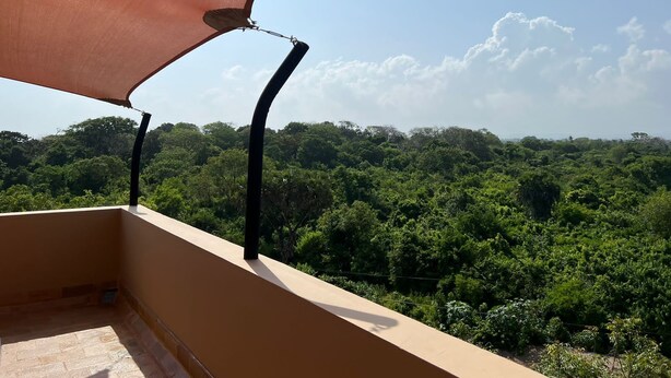 A balcony with a view of dense green forest under a clear sky. - Tombo House (Diani Beach)