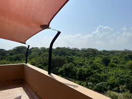 Un balcón con vistas a un denso bosque verde bajo un cielo despejado.