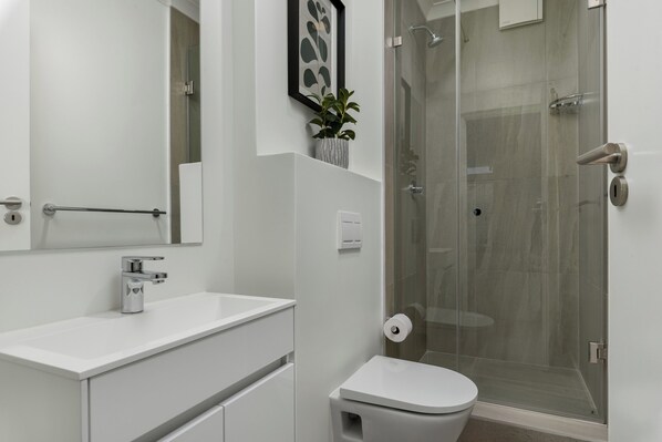 Shower, hair dryer, towels, soap